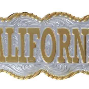 PLACAS DE ALPACA PARA CARTERAS Y SOMBRERO-29136