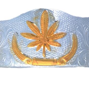 NICKLEL PLATED BACKS BOOT Talonera Plateada Para Botas