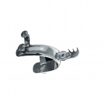 FINE STAINLESS STEEL SPURS Espuelas Finas Charras de Acero Inoxidable.