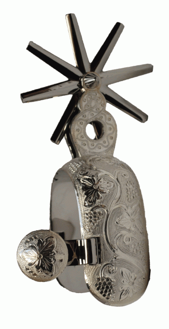 FINE STAINLESS STEEL SPURS WITH SILVER Espuelas Finas Charras de Acero Inoxidable con Plata
