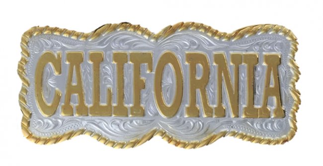 PLACAS DE ALPACA PARA CARTERAS Y SOMBRERO-29136